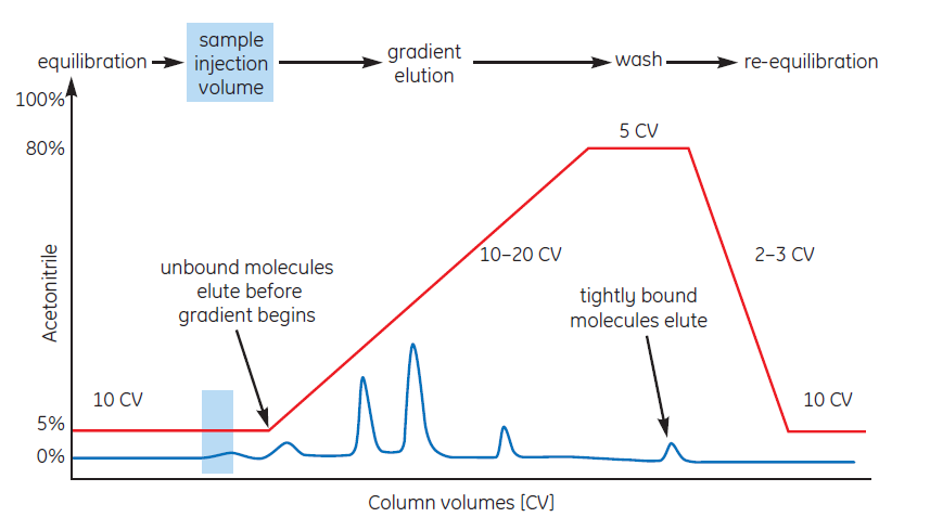 Typical RPC separation using gradient elution Typical RPC separation using gradient elution
