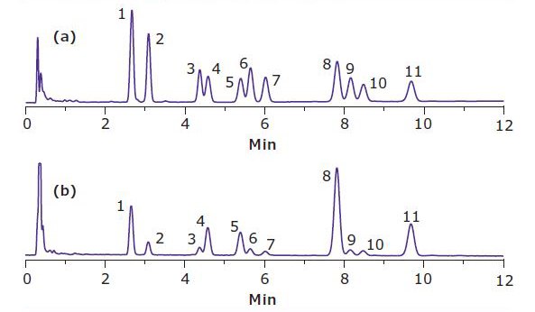 HPLC of a Brownie Extract at 220 nm. HPLC of a Brownie Extract at 220 nm.