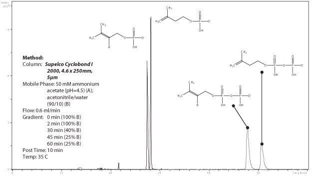 Separation of IP, DMAP, IPP and DMAPP by chiral chromatography with a cyclodextrine phase Separation of IP, DMAP, IPP and DMAPP by chiral chromatography with a cyclodextrine phase