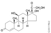 Structure of Hydrocortisone Structure of Hydrocortisone
