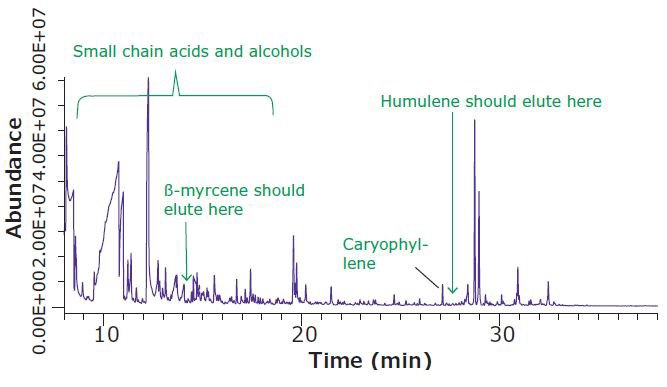 Headspace SPME-GC/MS Analysis of Dried Hops Flowers, Increased Sample Equilibration Temperature Headspace SPME-GC/MS Analysis of Dried Hops Flowers, Increased Sample Equilibration Temperature