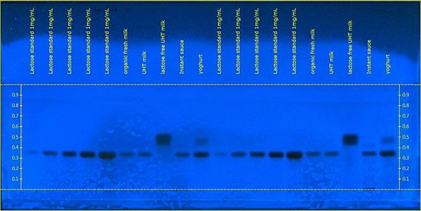 Derivatized plate at 366 nm. Derivatized plate at 366 nm.