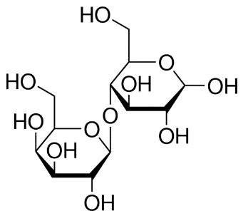 Lactose structure Lactose structure