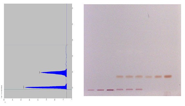 Scan of track 6 at 600 nm and picture Scan of track 6 at 600 nm and picture
