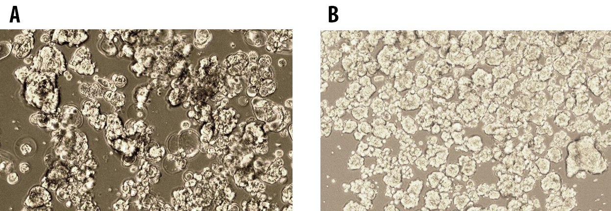 Figure 2 MCF Figure 2 MCF