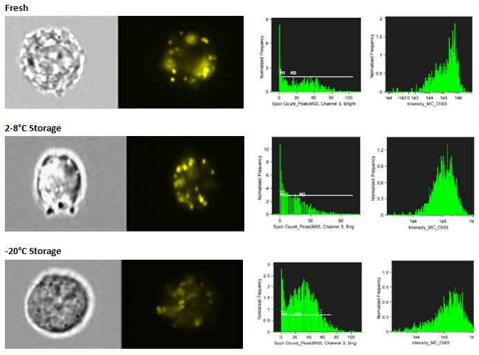 Exosome storage stability Exosome storage stability