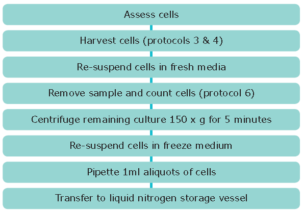 figure Cryopreservation of Cell Lines