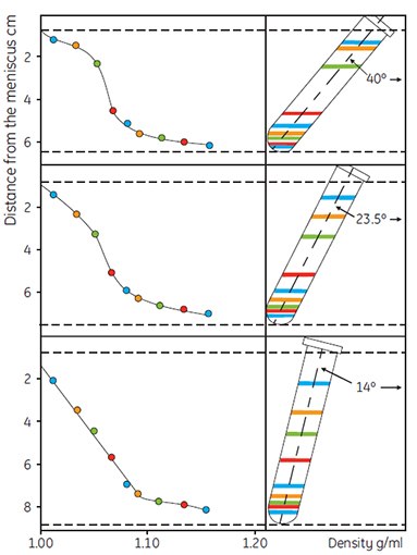 The effect of rotor angle on gradient development The effect of rotor angle on gradient development
