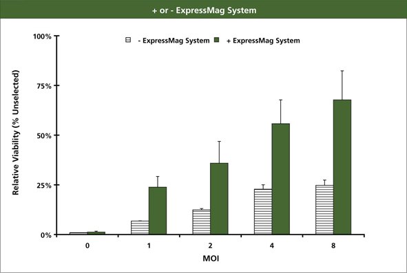 Plus or Minus ExpressMag System Plus or Minus ExpressMag System