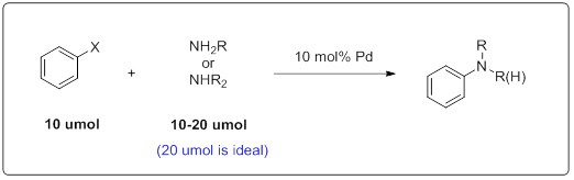 Two solvents (Dioxane, DMAc), strong base (NaOt-Bu) Step-by-Step Guide for Buchwald-Hartwig Amination Reaction Screening Kit