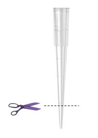 Two solvents (Dioxane, DMAc), strong base (NaOt-Bu) Step-by-Step Guide for Buchwald-Hartwig Amination Reaction Screening Kit
