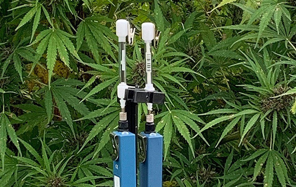 Outdoor measurement of terpenes from hemp growing operations using our glass and stainless steel Carbotrap<sup>®</sup> T420 TD tubes and Spectrex PAS-500 Personal Air Sampling pumps Two Carbotrap® T420 TD tubes mounted on a black connector, with white sampling heads, positioned in front of a lush green backdrop of hemp plants. The setup is used for outdoor measurement of terpenes in hemp growing operations.