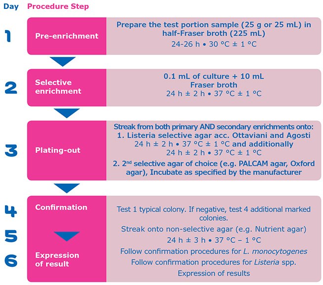 steps for listeria monocytogenes steps for listeria monocytogenes