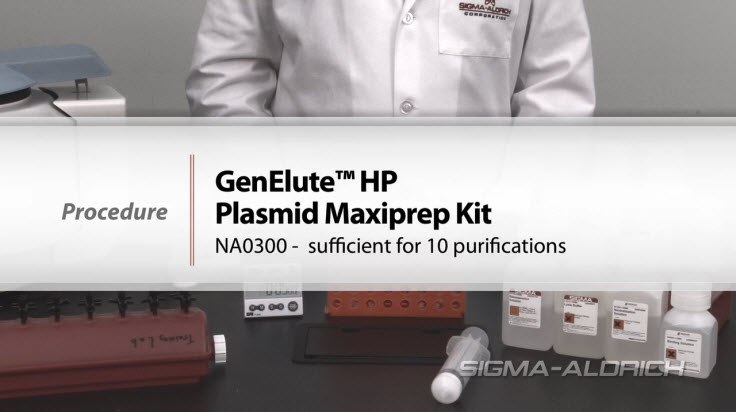 GenElute™ HP Plasmid Maxiprep Procedure GenElute™ HP Plasmid Maxiprep Procedure
