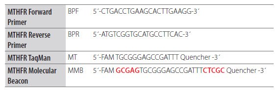 Adaptation of a Dual-Labeled Probe Assay to a Molecular Beacon Adaptation of a Dual-Labeled Probe Assay to a Molecular Beacon