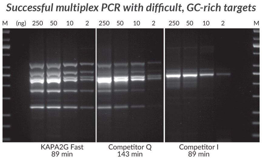 GC-rich Multiplex PCR (6-plex) performed with the KAPA2G Fast Multiplex PCR Kit, Competitor Q and Competitor I. Successful Multiplex PCR with wild-type Taq is limited to easy, simple targets that can be amplified with equal efficiency. The improved processivity of the engineered KAPA2G Fast DNA Polymerase allows uniform multiplex PCR of a broad range of difficult targets. Reactions (25 μL) contained 1X PCR Master Mix (KAPA and Competitor Q) or 1X PCR Buffer, 3 mM MgCl2, 0.2 mM of each dNTP and 1 U of hot start Taq DNA Polymerase (home brew multiplex reagents, with Competitor I). Human genomic DNA was used as template (250 – 2 ng per reaction), and primers were supplied at 0.2 μM each. DMSO (5%) and KAPA Enhancer 1 (1X) was added to all reactions. Cycling was performed according to manufacturers’ recommendations (30 cycles). Amplicons range in size from 241 – 642 bp, and in GC content from 72.7 – 83.8%. GC-rich Multiplex PCR (6-plex) performed with the KAPA2G Fast Multiplex PCR Kit, Competitor Q and Competitor I.
