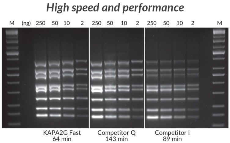 *Multiplex PCR (8-plex) performed with the KAPA2G Fast Multiplex PCR Kit, Competitor Q, and Competitor I. Reactions (25 μL) contained 1X PCR Master Mix (KAPA and Competitor Q) or 1X PCR Buffer, 3 mM MgCl2, 0.2 mM of each dNTP and 1 U of hot start Taq DNA Polymerase (home-brew multiplex reagents, with Competitor I). Human genomic DNA was used as template (250 – 2 ng per reaction), and primers were supplied at 0.2 μM each. Cycling was performed according to manufacturers’ recommendations (30 cycles). Multiplex PCR (8-plex) performed with the KAPA2G Fast Multiplex PCR Kit, Competitor Q, and Competitor I.
