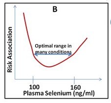 U-shaped graph illustrating the risk of health complications versus selenium status.  U-shaped graph illustrating the risk of health complications versus selenium status.