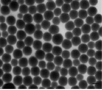 . TEM image of uniform, monodisperse chemically synthesized selenium nanoparticles TEM image of uniform, monodisperse chemically synthesized selenium nanoparticles