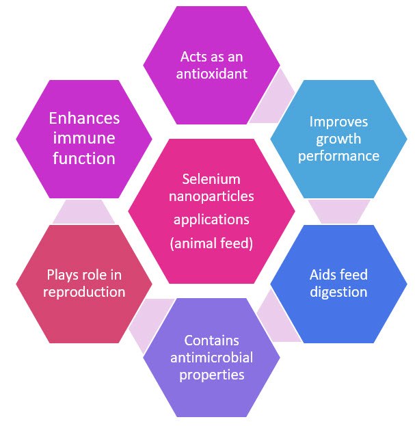 Applications of SeNPs in animal feeds Applications of SeNPs in animal feeds