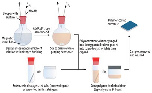 Typical experimental procedure for SIP by ARGET ATRP Typical experimental procedure for SIP by ARGET ATRP