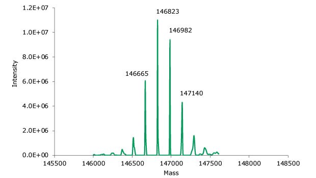 Deconvoluted mass spectrum of non-reduced SigmaMAb reference Deconvoluted mass spectrum of non-reduced SigmaMAb reference