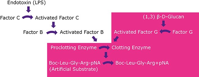 Concentration of Non-purified Raw Material Concentration of Non-purified Raw Material