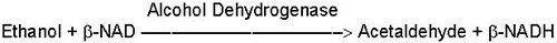 alcohol-dehydrogenase-reaction Alcohol Dehydrogenase Reaction