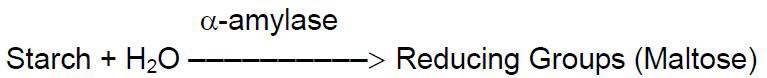 Alpha-Amylase Alpha-Amylase