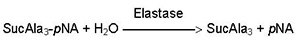 Enzymatic Assay of Elastase Enzymatic Assay of Elastase