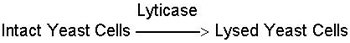 lyticase  lyticase