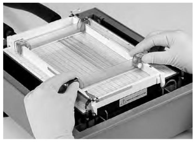 Alignment of electrodes over Immobiline<sup>®</sup> DryStrip gels. Alignment of electrodes over Immobiline® DryStrip gels.