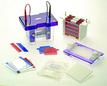 blotting-and-vertical-electrophoresis-system Sigma-Aldrich Blotting and Vertical Electrophoresis System