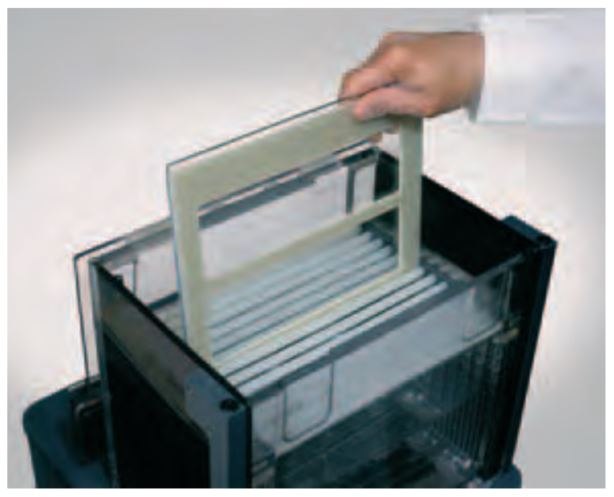 Loading the gel cassettes into Ettan™ DALTtwelve electrophoresis unit. Loading the gel cassettes into Ettan™ DALTtwelve electrophoresis unit