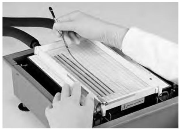 Positioning Immobiline<sup>®</sup> DryStrip gels in the Immobiline<sup>®</sup> DryStrip aligner. Positioning Immobiline® DryStrip gels in the Immobiline® DryStrip aligner.