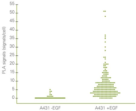 Single cell statistical analysis Single cell statistical analysis