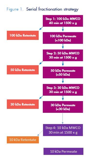 serial-fractionation serial fractionation strategy