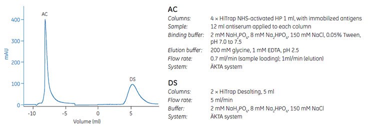 Elution of purified antibody Elution of purified antibody