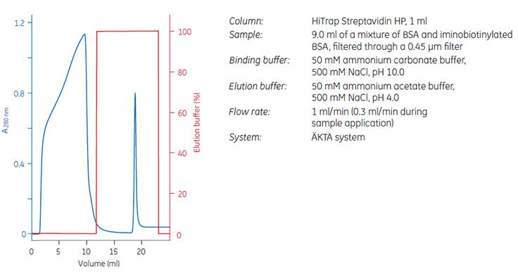 Purification of iminobiotinylated BSA on HiTrap® Streptavidin HP, 1 mL Purification of iminobiotinylated BSA on HiTrap® Streptavidin HP, 1 mL