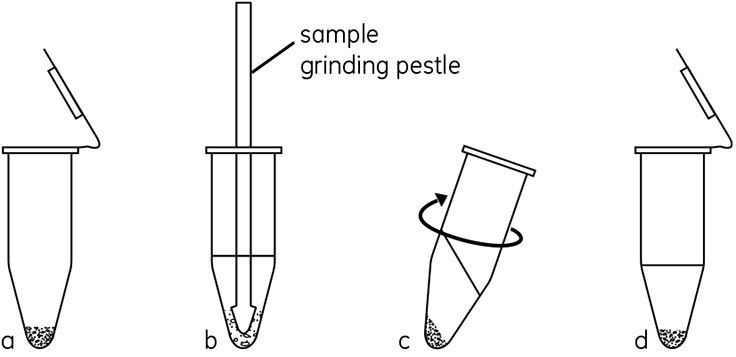 Processing Small Tissue or Cell Samples using Sample Grinding Kit Schematic of the method used in the Sample Grinding Kit. (a) Pellet grinding resin in microcentrifuge tube. (b) Add sample and extraction solution. Disrupt sample by grinding with pestle. (c) Centrifuge to separate cellular debris and resin. (d) Collect supernatant.
