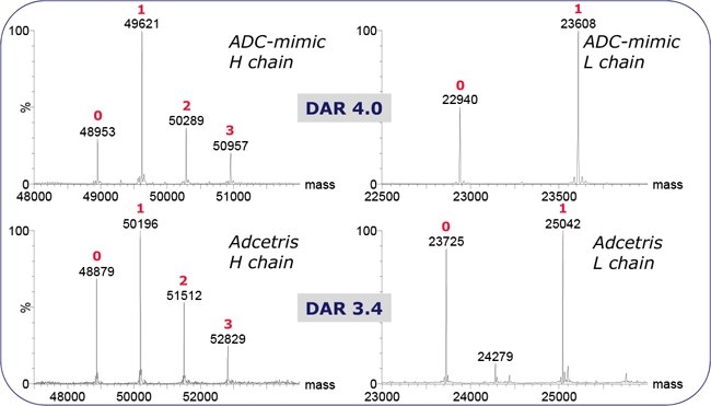 ADC-mimic and Adcetris reduced SEC-MS spectra. ADC-mimic and Adcetris reduced SEC-MS spectra.