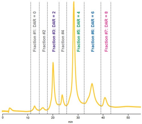 HIC separation of native ADC Mimic demonstrating fractions collected for LC-UV-MS analysis HIC separation of native ADC Mimic demonstrating fractions collected for LC-UV-MS analysis