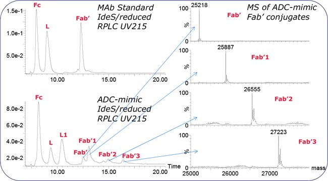 RPLC and Fab’ spectra of IdeS/reduced MAb Standard and ADC-mimic. Chromatography RPLC and Fab’ spectra of IdeS/reduced MAb Standard and ADC-mimic. Chromatography