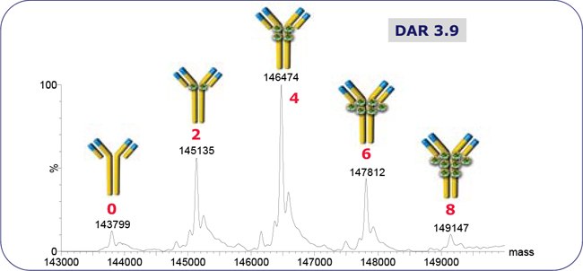 ADC-mimic native SEC-MS spectrum. ADC-mimic native SEC-MS spectrum.