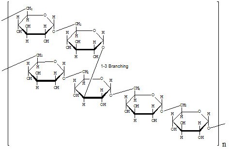Specific Rotation Specific Rotation