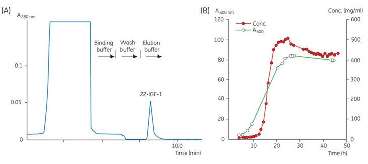 Chromatogram of a sample taken at one time point during fermentation Chromatogram of a sample taken at one time point during fermentation