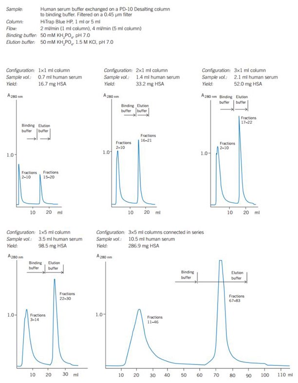 affinity-chromatography-b Scaling up on HiTrap® Blue HP gives predictable separations and quantitatively reproducible yields.