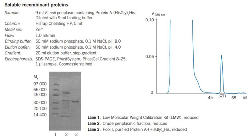 Purification of recombinant proteins on HiTrap® Chelating HP, 5 mL, charged with Zn2+ Purification of recombinant proteins on HiTrap® Chelating HP, 5 mL, charged with Zn2+
