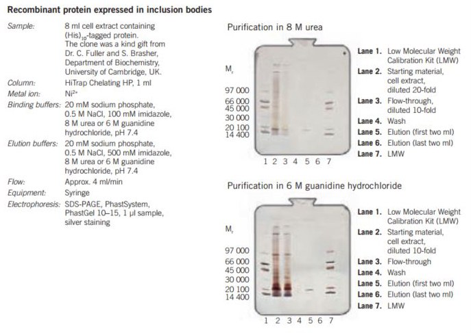 Purification of (His)10-tagged protein from inclusion bodies on HiTrap® Chelating HP, 1 mL, charged with Ni2+ Purification of (His)10-tagged protein from inclusion bodies on HiTrap® Chelating HP, 1 mL, charged with Ni2+