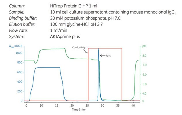 Capture step in a two-step purification of mouse monoclonal IgG1 Capture step in a two-step purification of mouse monoclonal IgG1 using HiTrap Protein G HP. The curves shown are absorbance (blue), pH (green), and conductivity (red).